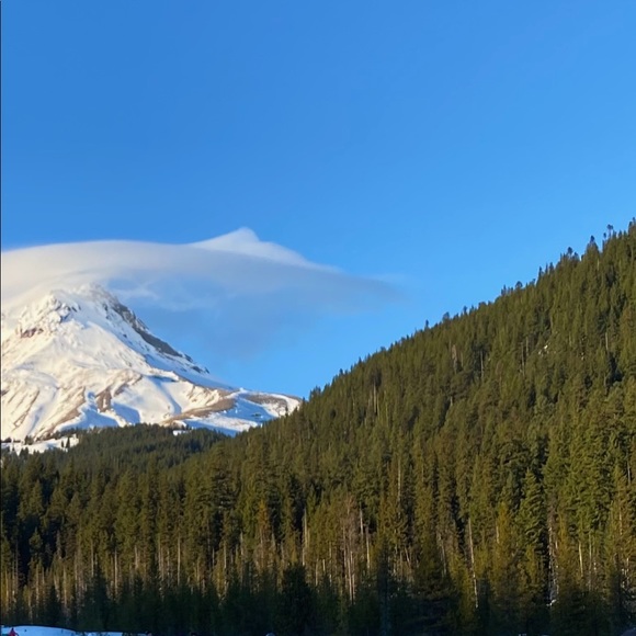 Meet the Posher Other - Meet your Posher, Natasha